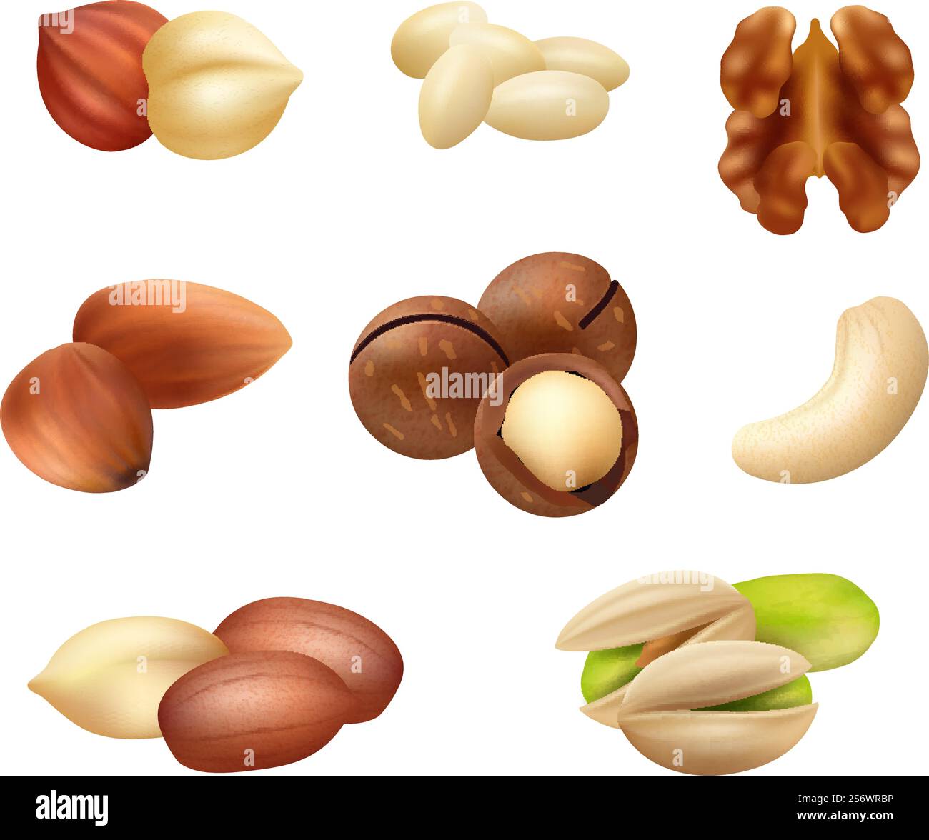 Noix réaliste. Gros plan sain produits naturels cacao cacahuète grains de café amandes arôme grain vecteur décent ensemble de collection d'aliments de collation. Illustration de la nutrition amande crue et noyau. Noix réaliste. Gros plan sain produits naturels cacao cacahuète grains de café amandes arôme grain vecteur décent ensemble de collection d'aliments de collation Illustration de Vecteur