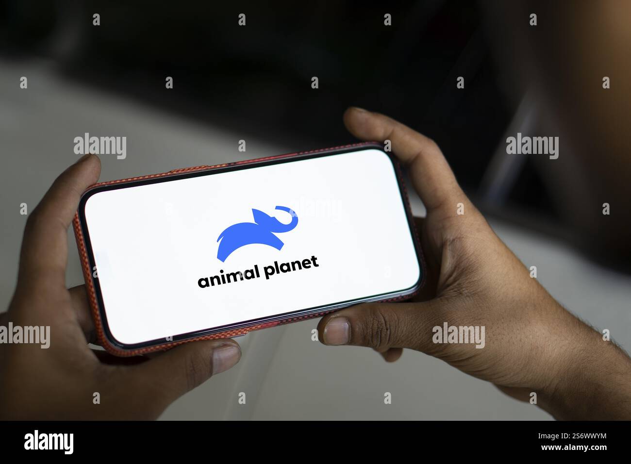 Le logo animal Planet est affiché sur le smartphone Banque D'Images