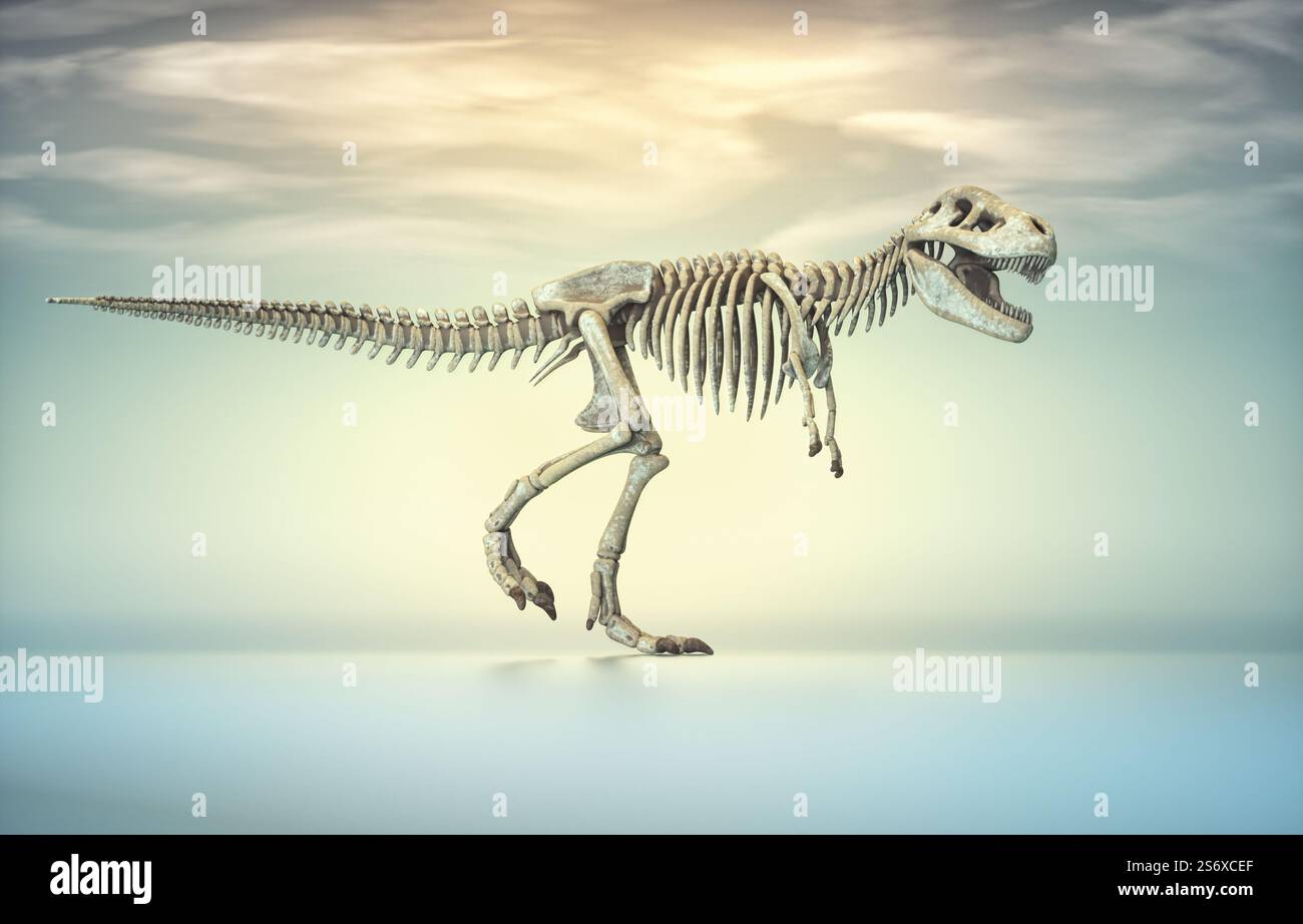 Squelette T rex. Il s'agit d'une illustration de rendu 3D. Banque D'Images