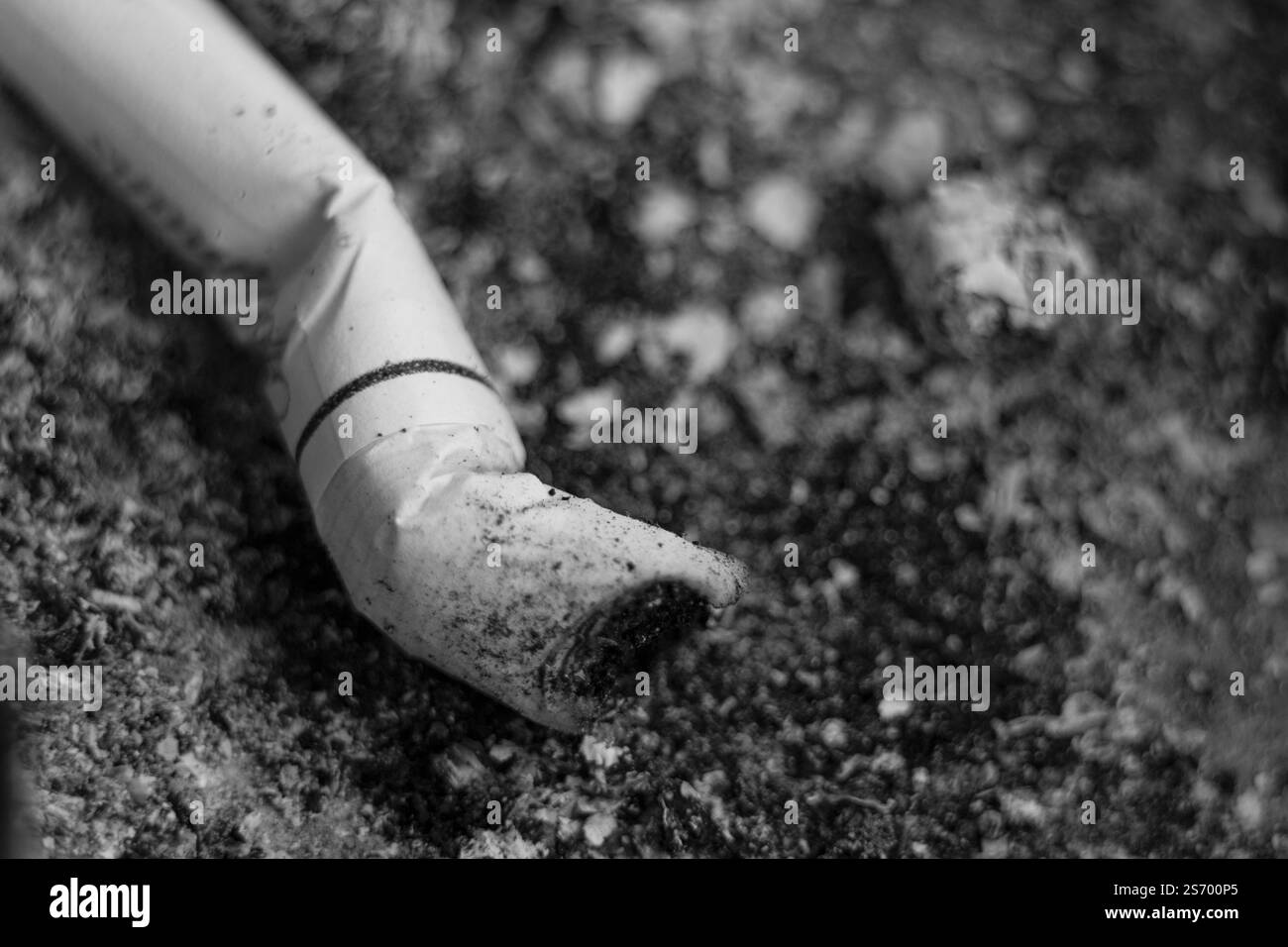 Cendres de cigarette, cigarette éteinte détruite, cigarettes sont mauvaises pour votre santé. Banque D'Images