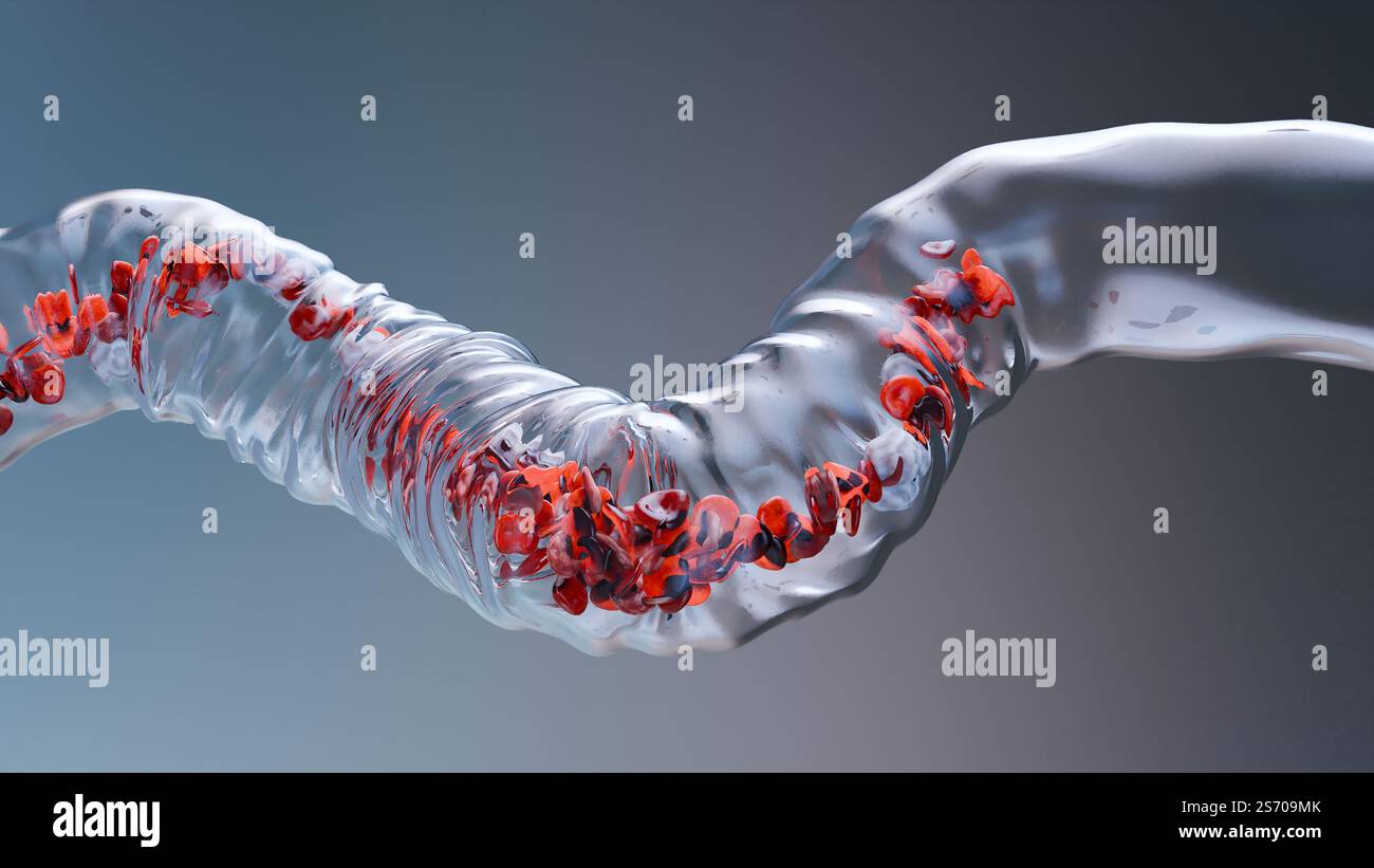 Circulation des globules rouges et blancs dans la veine transparente, érythrocyte, écoulement à l'intérieur dans une artère, anatomie médicale, rendu 3D. Banque D'Images