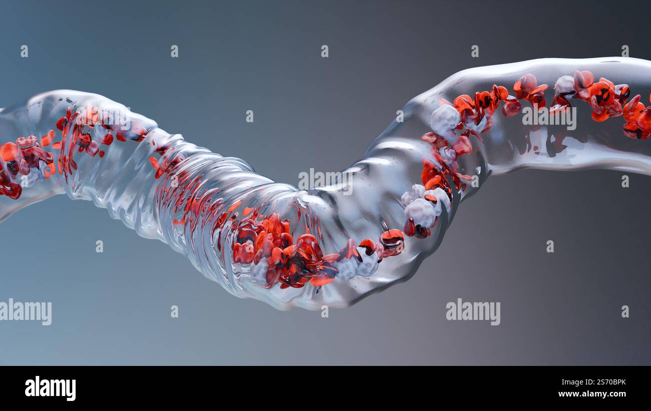 Circulation des globules rouges et blancs dans la veine transparente, érythrocyte, écoulement à l'intérieur dans une artère, anatomie médicale, rendu 3D. Banque D'Images