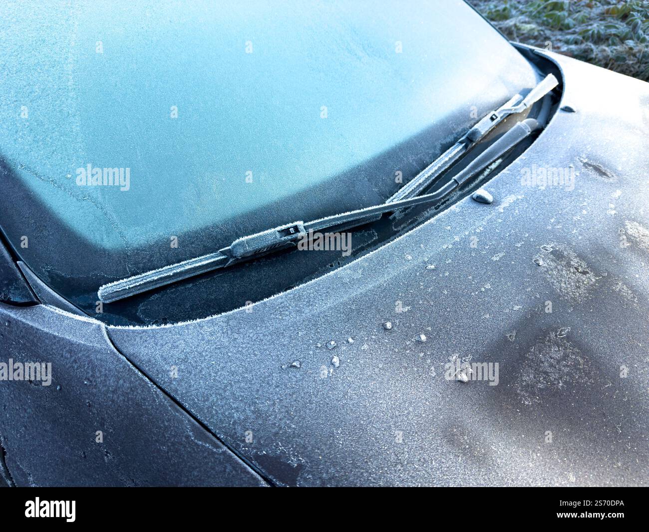 Pare-brise gelé sur la voiture en hiver dans le froid glacial avec du gel le matin Banque D'Images