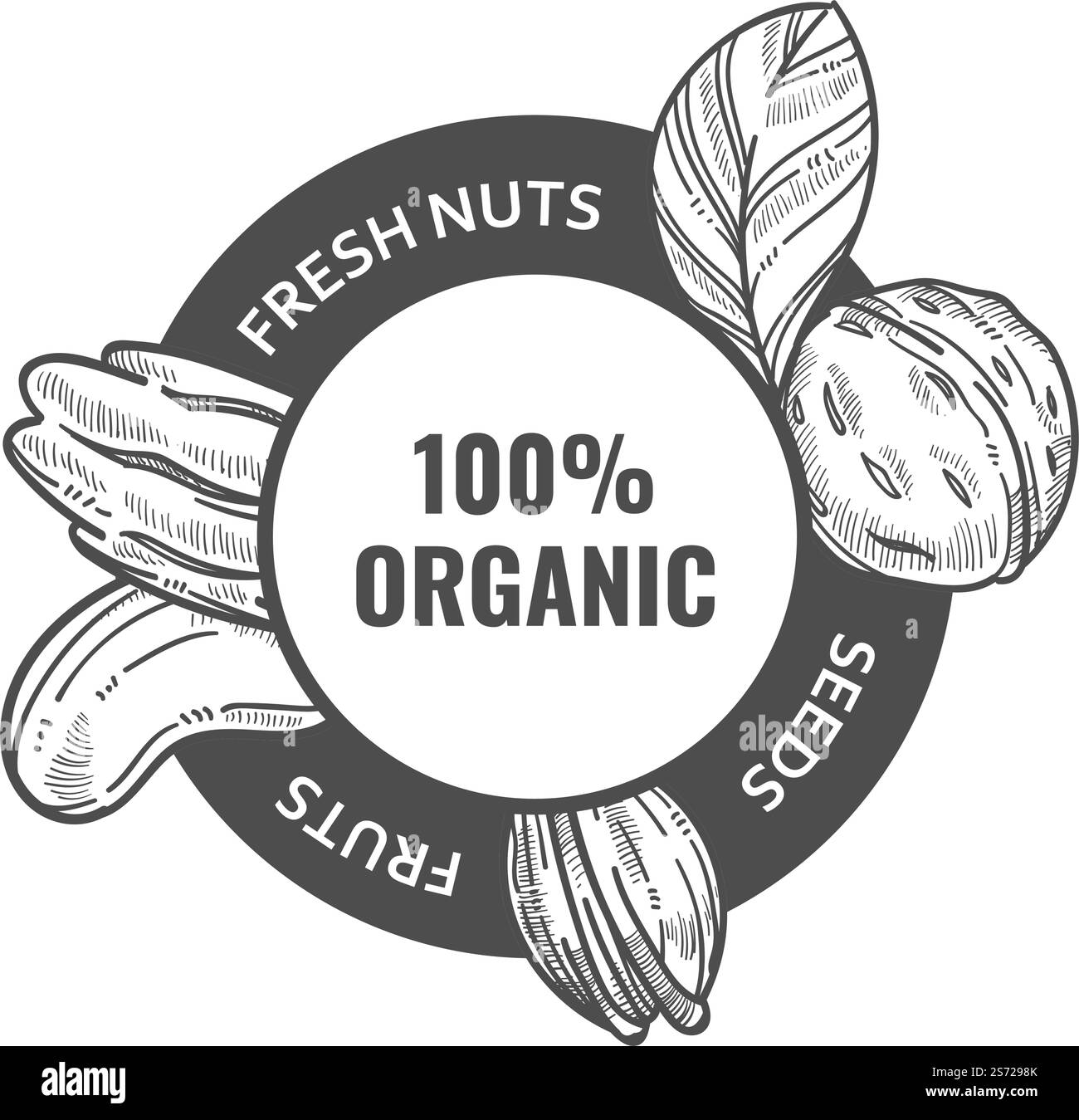 Produits de qualité supérieure, noix et graines produits biologiques et naturels. Ingrédients pour une alimentation et une nutrition saines et équilibrées. Délicieux mélange de noix, noix de cajou et pistache. Vecteur dans le style plat. Noix et graines fraîches, produit de qualité supérieure Illustration de Vecteur