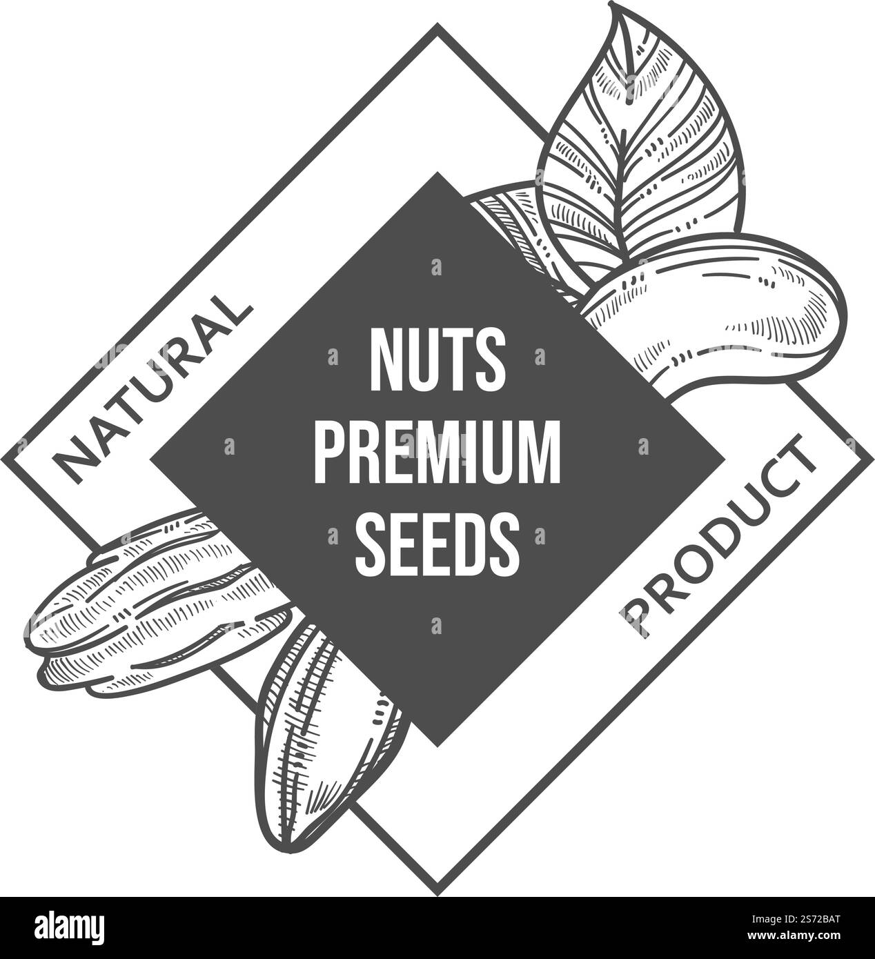 Produits naturels et biologiques de noix et de graines, qualité supérieure d'ingrédients gras pour une alimentation équilibrée. Menu végétarien et végétalien, esquisse monochrome contour étiquette publicité de magasin. Vecteur en plat. Noix et graines premium, étiquette de produit naturel Illustration de Vecteur