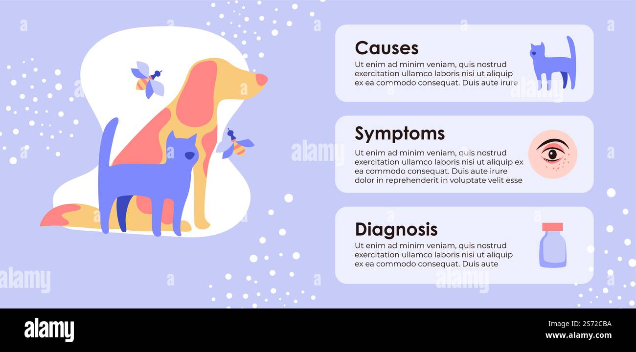 Causes et symptômes, diagnostic de l'allergie et des maladies. Pollen et déclencheur animal, yeux rouges et éruption cutanée. Médicament pour soulager les problèmes. Problèmes de santé et signe de démangeaison. Vecteur dans le style plat. Causes et symptômes d'allergie, bannière d'information de diagnostic Illustration de Vecteur