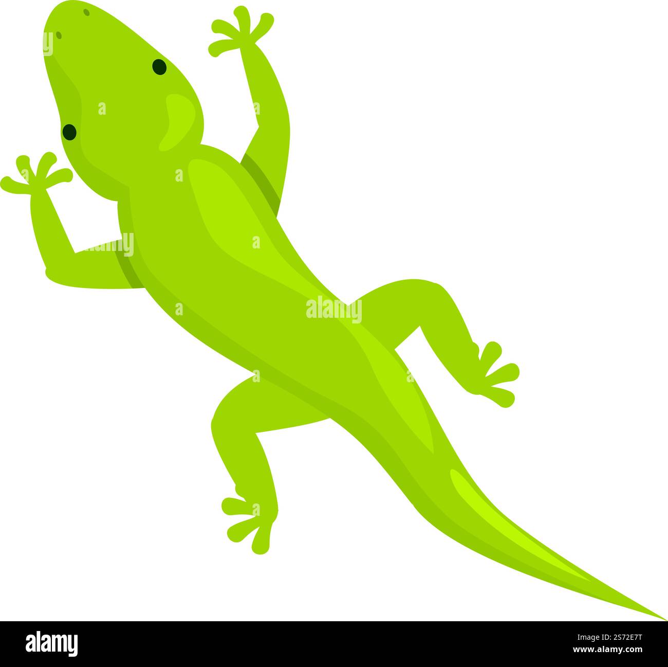 Vecteur de dessin animé d'icône de lézard vert. Iguane animal. Salamandre gecko. Vecteur de dessin animé d'icône de lézard vert. Iguane animal Illustration de Vecteur