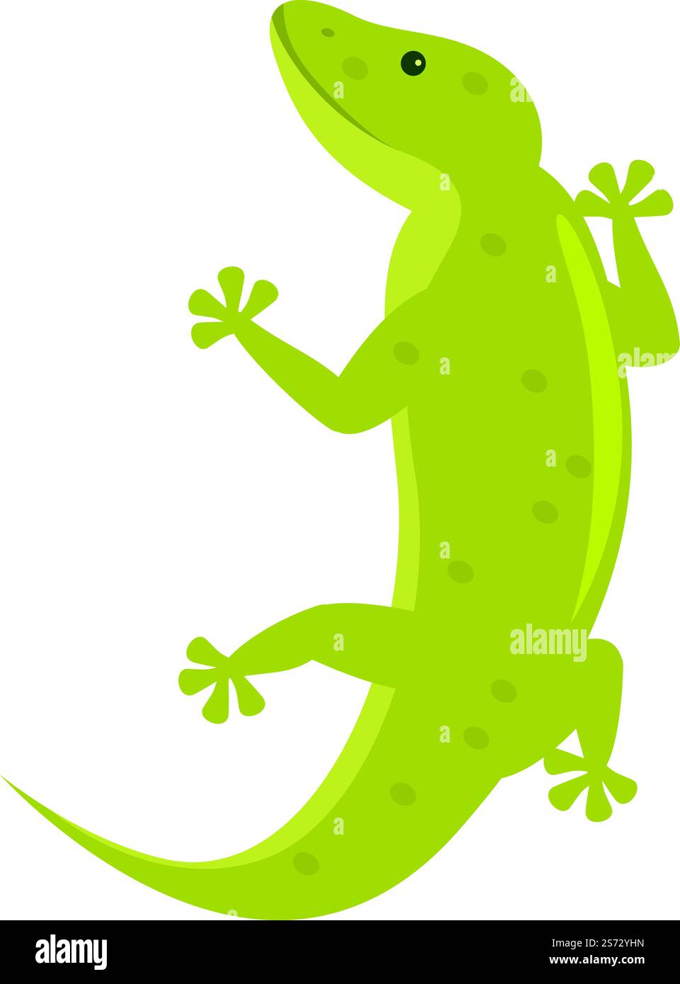 Vecteur de dessin animé d'icône d'animal vert. Lézard Gecko. Salamandre iguane. Vecteur de dessin animé d'icône d'animal vert. Lézard Gecko Illustration de Vecteur