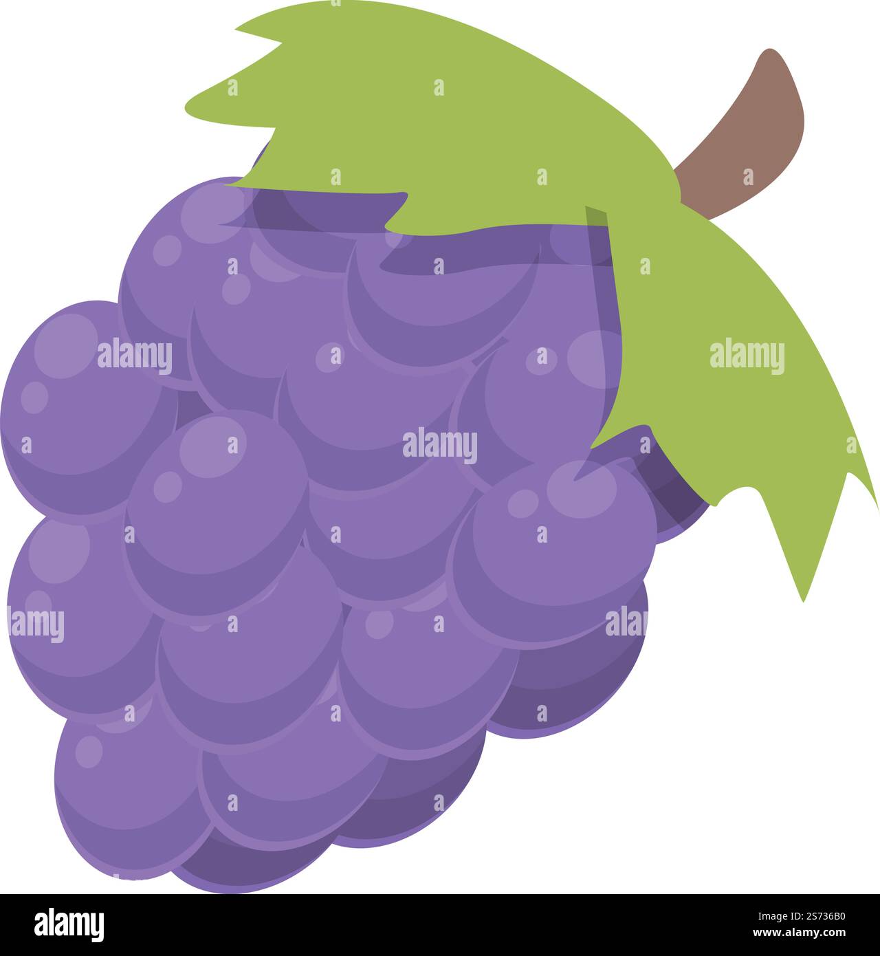 Vecteur de dessin animé d'icône de raisins Argentine. Nourriture Argentine. Voyage amérique. Vecteur de dessin animé d'icône de raisins Argentine. Nourriture Argentine Illustration de Vecteur