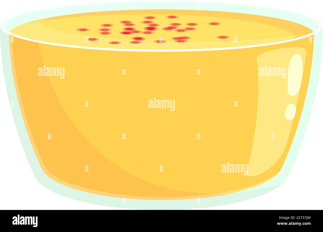 Vecteur de dessin animé d'icône de soupe brésilienne. Plat alimentaire. Légumes cuits. Vecteur de dessin animé d'icône de soupe brésilienne. Plat alimentaire Illustration de Vecteur