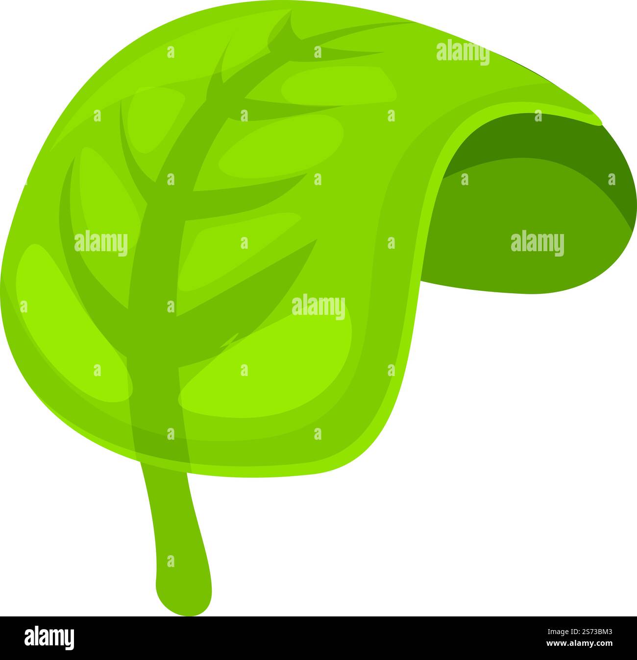 Vecteur de dessin animé d'icône d'épice de feuille verte. Origan aux herbes. Sauge de jardin. Vecteur de dessin animé d'icône d'épice de feuille verte. Origan aux herbes Illustration de Vecteur