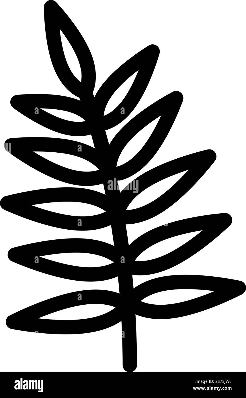 vecteur d'icône de ligne de feuille tropicale chamaedorea. signe de feuille tropicale chamaedorea. illustration noire du symbole de contour isolé. illustration vectorielle d'icône de ligne de feuille tropicale chamaedorea Illustration de Vecteur vecteur d'icône de ligne de feuille tropicale chamaedorea. signe de feuille tropicale chamaedorea. illustration noire du symbole de contour isolé. illustration vectorielle d'icône de ligne de feuille tropicale chamaedorea Illustration de Vecteur