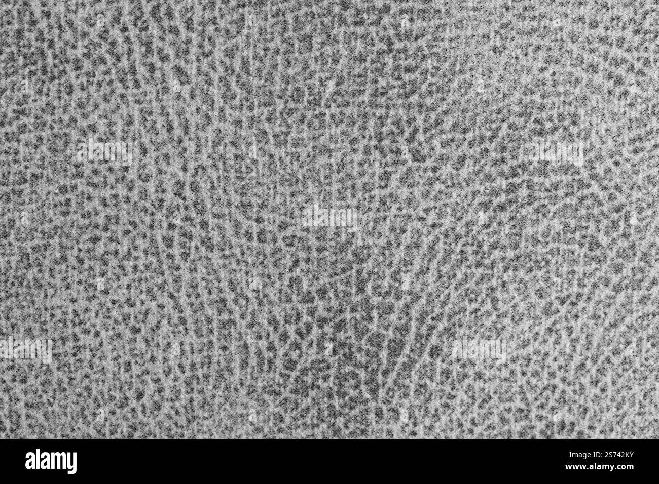 Tissu gris jacquard avec imprimé abstrait à pois Shabby. Gros plan, texture macro. Sellerie, structure de tissu décoratif de rideau, toile pour déco maison Banque D'Images