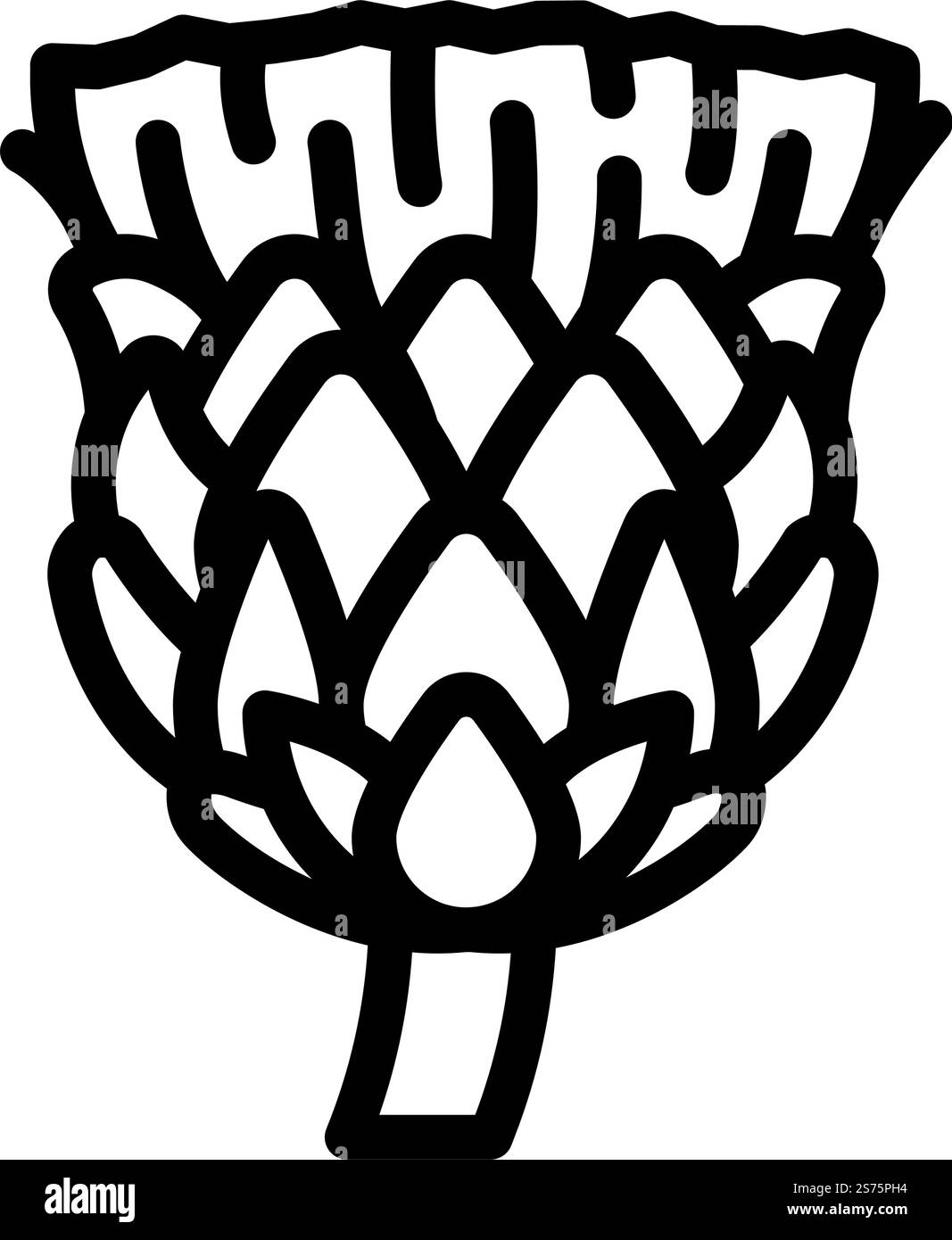 vecteur d'icône de ligne d'artichaut de fleur. panneau d'artichaut à fleurs. illustration noire du symbole de contour isolé. illustration vectorielle d'icône de ligne d'artichaut de fleur Illustration de Vecteur