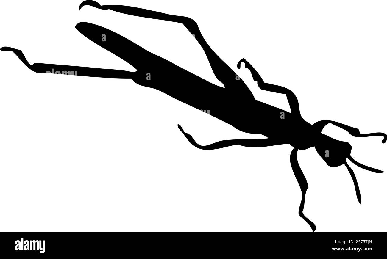 Silhouette de sauterelle. Gros plan détaillé sur la sauterelle. Icône représentant une sauterelle vectorielle sur fond blanc. Illustration de Vecteur