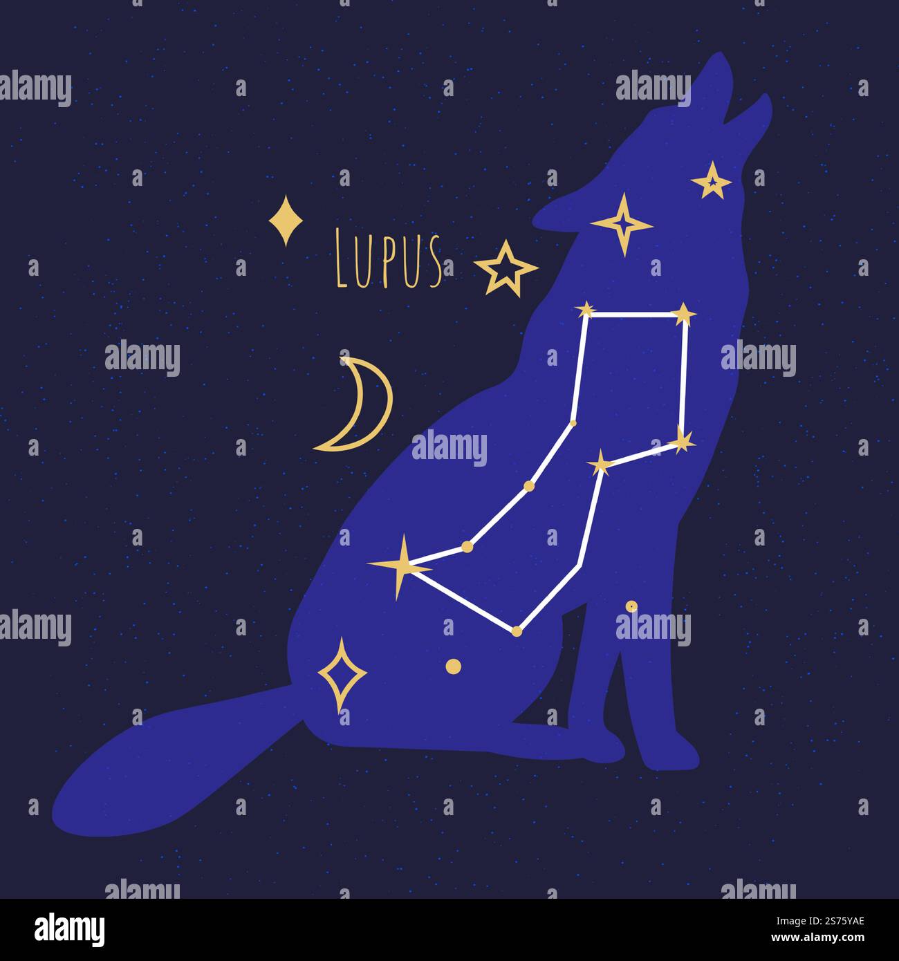 Formation étoilée du loup, constellations isolées de lupus sur ciel sombre nocturne. Astronomie et exploration spatiale de corps célestes et d'objets dans le cosmos et la galaxie de l'univers. Vecteur dans le style plat. Constellations de lupus, formation stellaire du loup Illustration de Vecteur