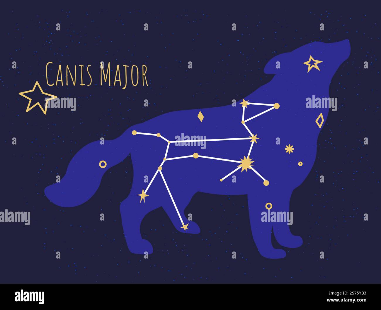 Formation d'étoiles de chien, constellation isolée de canis majeur sur ciel sombre. Astronomie exploration et découvertes de corps célestes, pléiades et objets planétaires. Vecteur dans l'illustration de style plat. Constellation de canis majeure formation d'étoile de chien Illustration de Vecteur