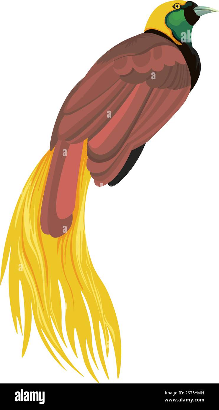 Animal aviaire tropical ou exotique, oiseau isolé avec plume colorée et plumage. Faune et nature sauvage, nature de la jungle ou forêt côtière. Créature avec des plumelets et un bec. Vecteur dans le style plat. Oiseau exotique avec plume colorée et plumage Illustration de Vecteur