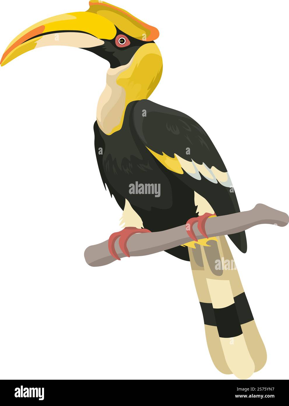 Portrait d'animal aviaire tropical, animal exotique isolé avec bec courbé assis sur une brindille ou une branche dans la forêt. Faune et nature sauvage des pays chauds, zoo et ornithologie. Vecteur dans le style plat. Animal exotique avec bec courbé assis sur une brindille Illustration de Vecteur