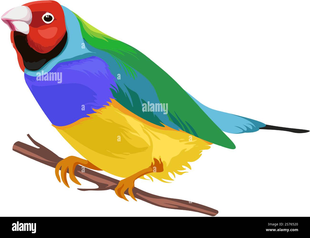 Espèces d'oiseaux exotiques, perroquet isolé assis sur une branche ou une brindille. Animal aviaire avec plumage et plumes brillants. Zoologie et nature, faune et biodiversité de la jungle ou des bois. Vecteur dans le style plat. Perroquet lumineux assis sur la branche, oiseaux exotiques Illustration de Vecteur