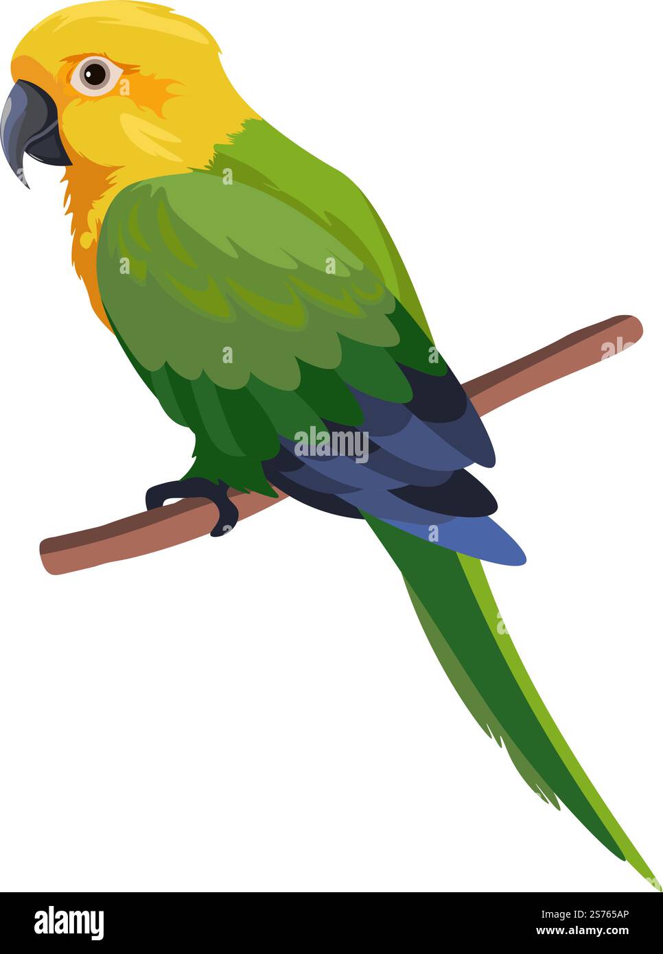 Portrait d'oiseau exotique ou tropical, perroquet coloré isolé assis sur une branche ou une brindille dans la forêt. Plumage coloré et plumes d'animal aviaire. Zoologie et nature sauvage, habitat. Vecteur dans le style plat. Perroquet coloré assis sur la branche, oiseau portrait Illustration de Vecteur