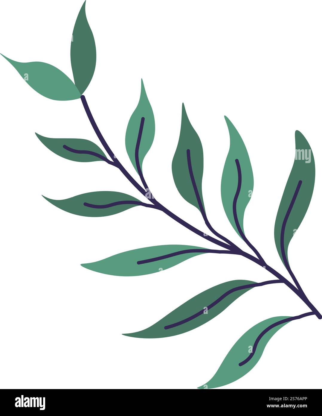 Feuillage exotique et plantes à feuillage, décoration botanique tropicale isolée. Branche ou brindille avec une végétation luxuriante. Forêt tropicale et bois, forêt ou ornement de plantes d'intérieur. Vecteur dans l'illustration de style plat. Vecteur de botanique tropicale, de feuillage et de plantes à feuillage Illustration de Vecteur