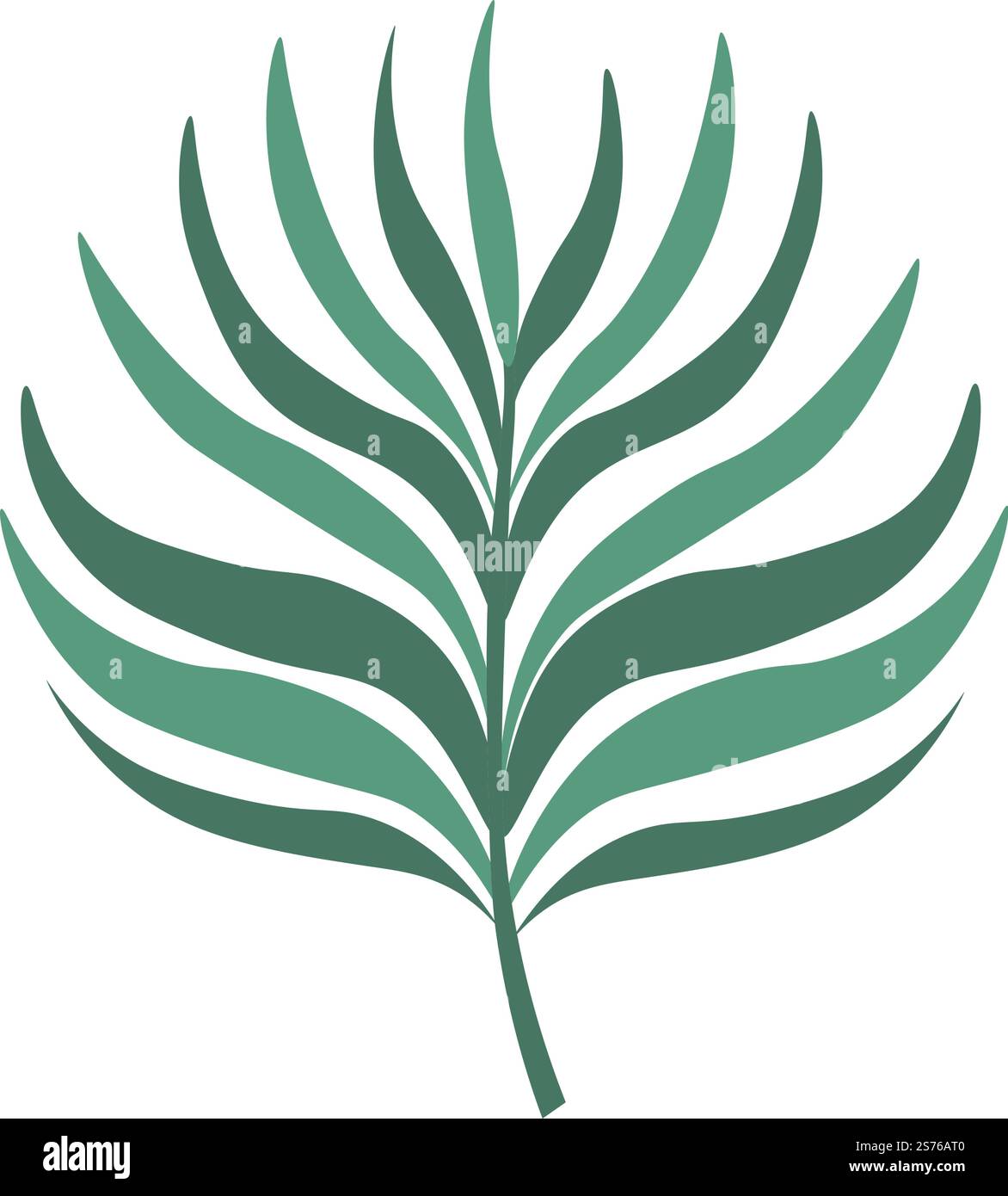 Fleurs et plantes en bord de mer ou côte. Feuillage tropical et exotique isolé et feuillage, végétation et botanique biodiversité de la forêt tropicale ou des bois. Plante d'intérieur à grande échelle. Vecteur dans le style plat. Feuillage tropical et feuillage, fleurs et plantes Illustration de Vecteur