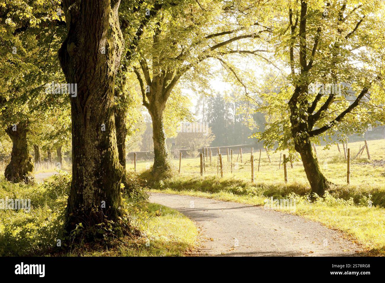 L'image d'un beau paysage d'automne Banque D'Images