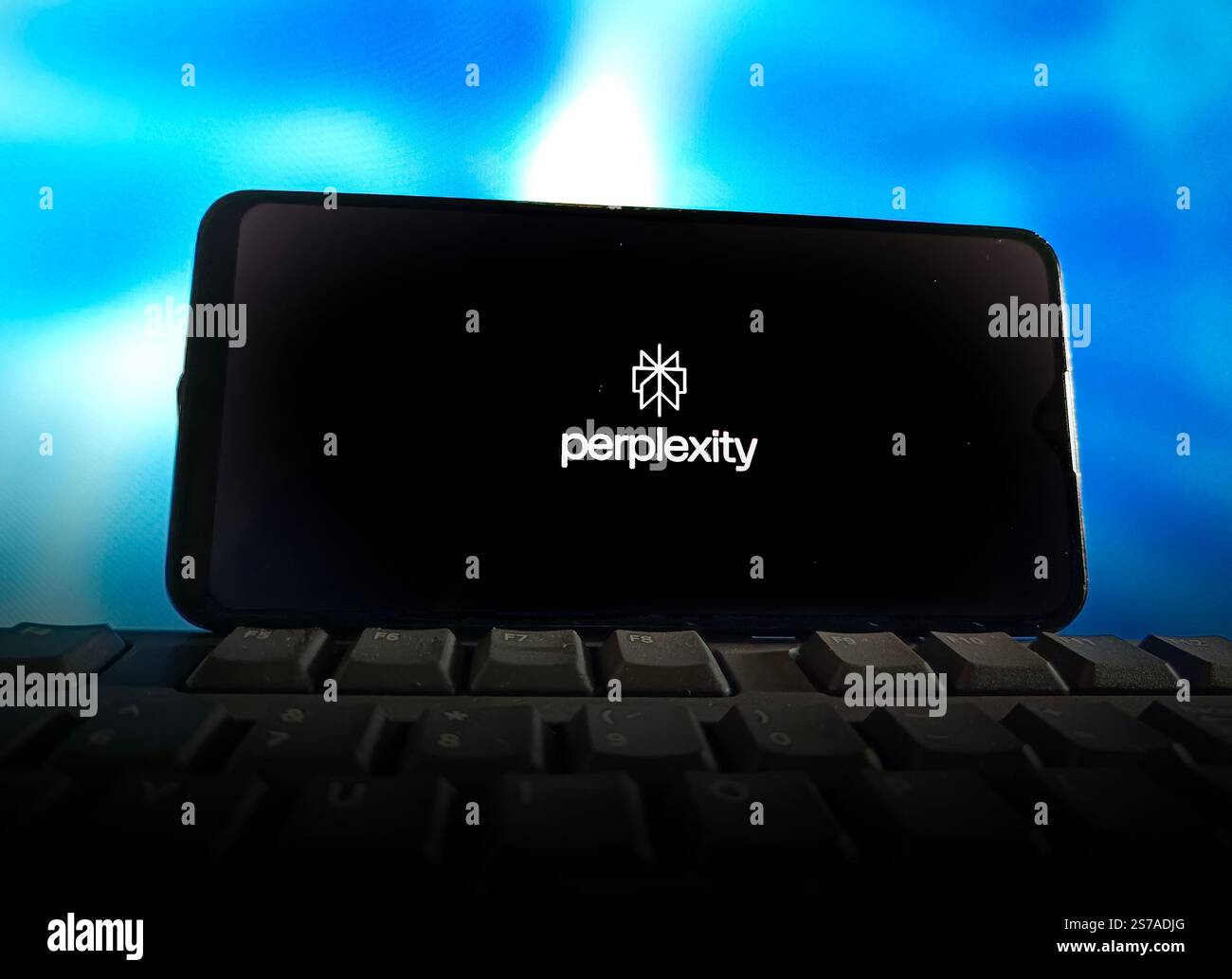 Une photo d'illustration montre le logo de la start-up américaine de moteur de recherche Perplexity ai à Shanghai, en Chine, le 19 janvier 2025. Banque D'Images