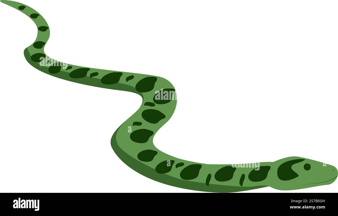 Illustration vectorielle anaconda verte. Serpent géant sauvage isolé sur fond blanc. Boa d'eau et reptile carnivore non venimeux. Illustration de Vecteur