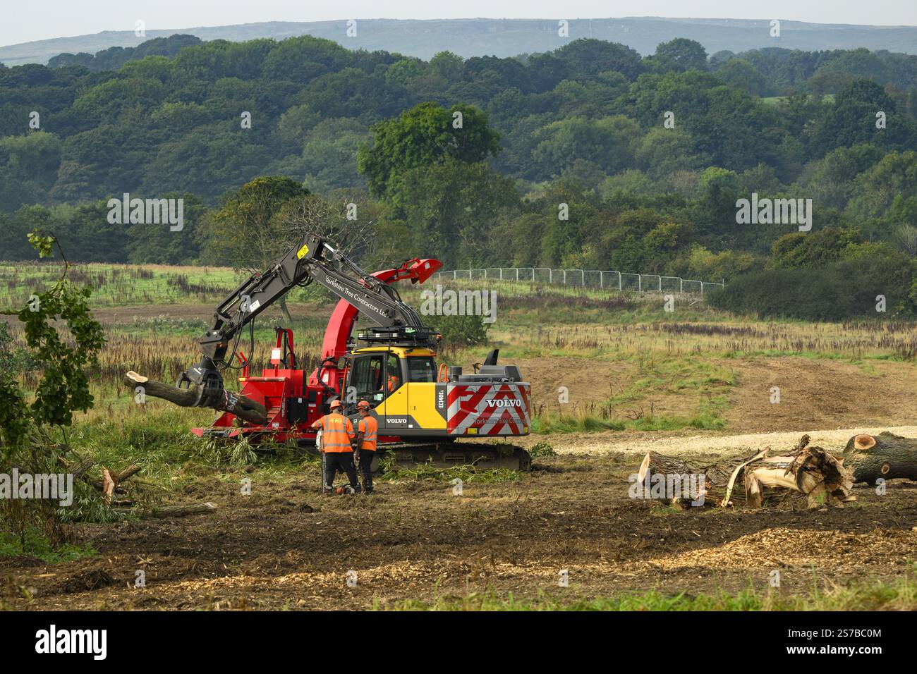 Hommes travaillant pour enlever des arbres (chantier de construction, perte et dommages de terres de champs verts, zone rurale pittoresque) - Burley-in-Wharfedale, West Yorkshire, Angleterre Royaume-Uni. Banque D'Images