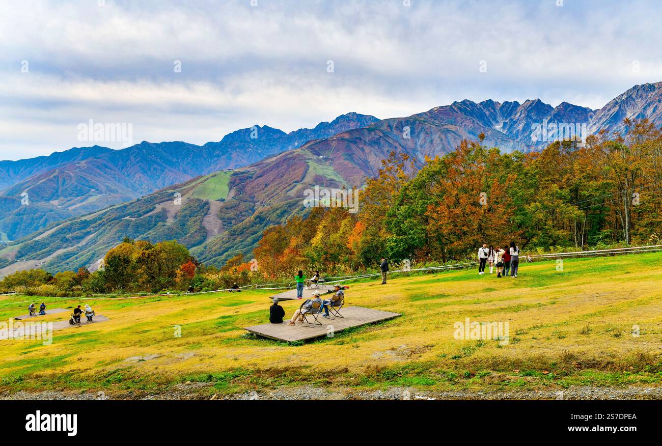 Nagano, Japon Oct 27,2024 : les feuilles d'automne à Hakuba Iwatake Green Park sur le sommet de la montagne ont des bancs installés dans la zone de pelouse ouverte de sorte que chaque Banque D'Images