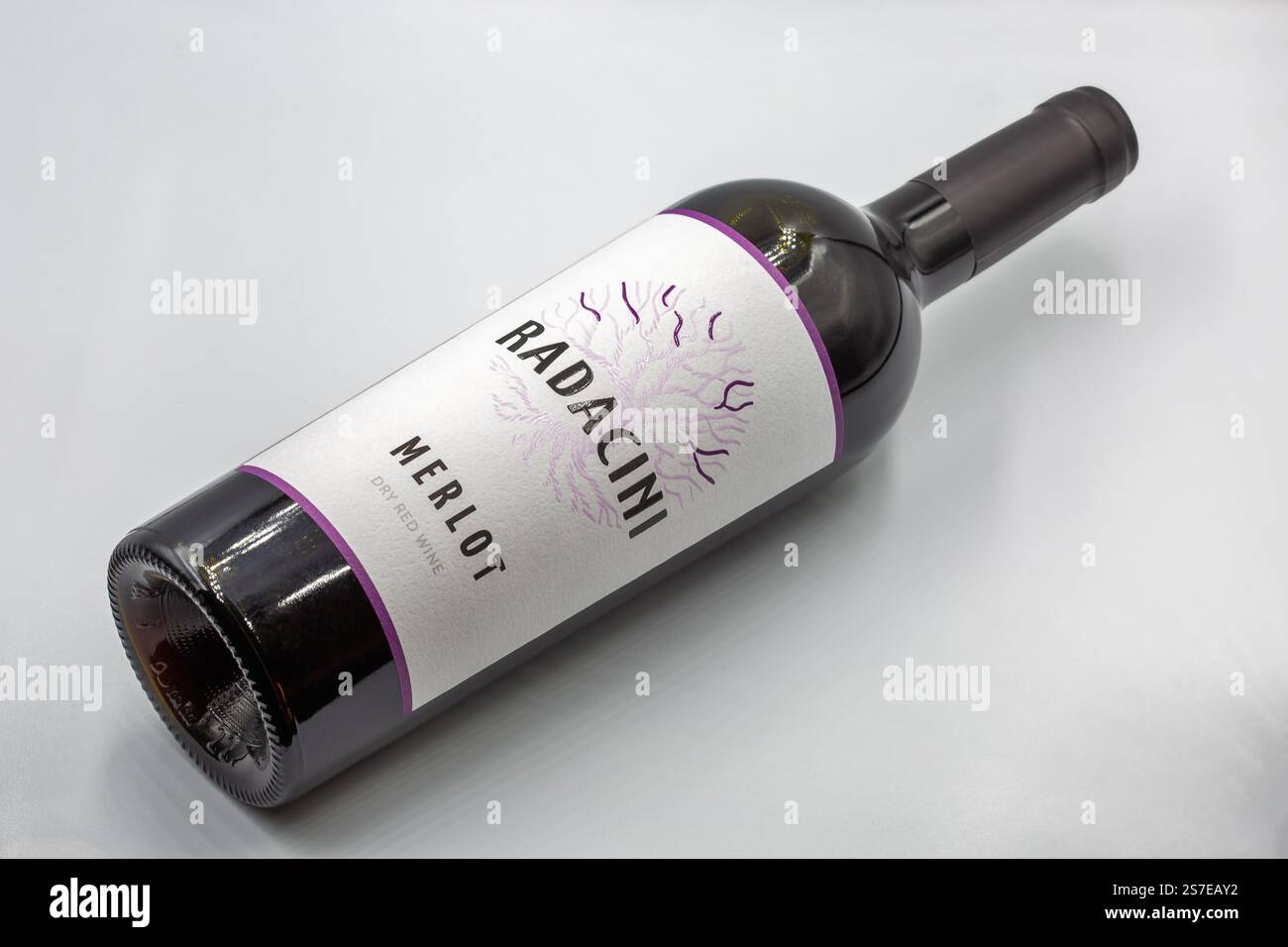Kiev, Ukraine - 16 août 2024 : tournage studio de Radicini Merlot bouteille de vin sec rouge moldave gros plan sur fond blanc. Banque D'Images
