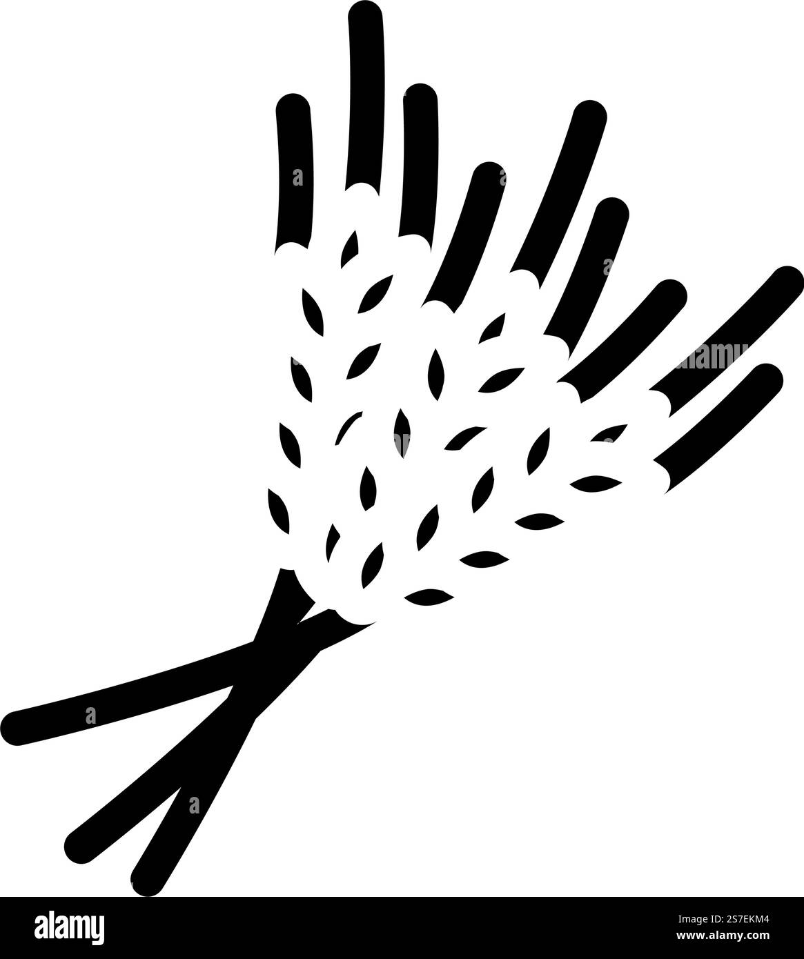 épis de vecteur d'icône de glyphe de récolte de blé. épis de signe de récolte de blé. illustration de symbole isolé. illustration vectorielle d'icône de glyphe de récolte de blé Illustration de Vecteur