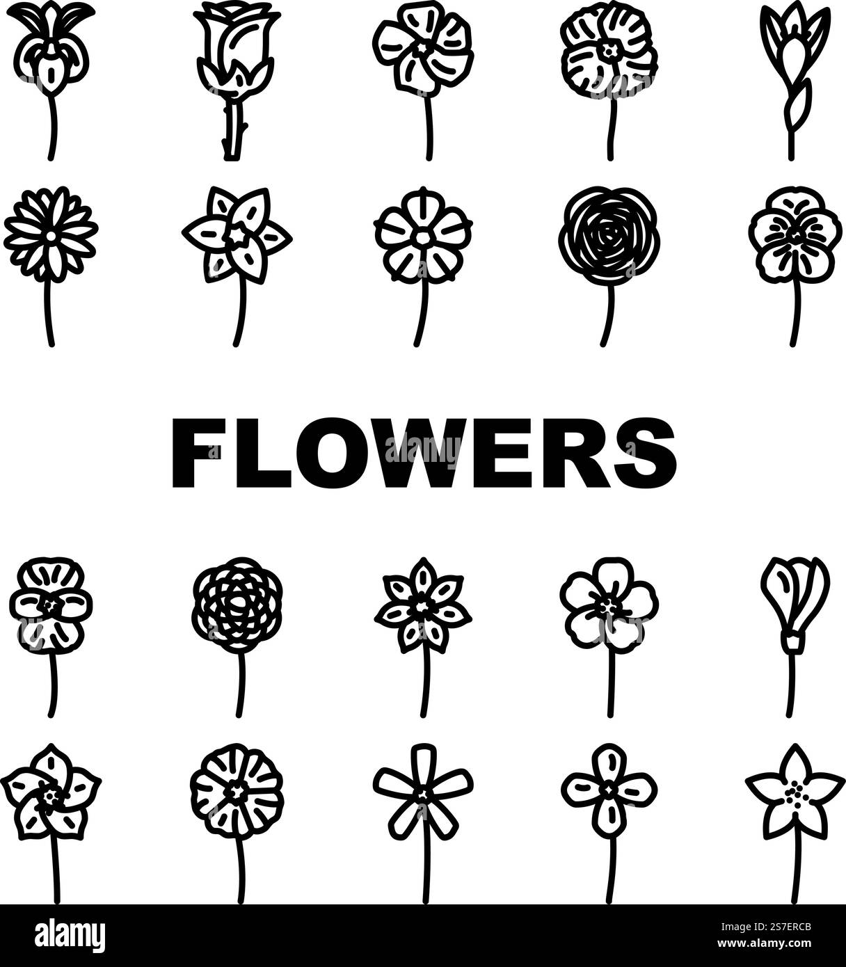 fleur printemps fleuri fleurs fleurs ensemble icônes vecteur. feuille de nature, jardin été, plante design, pétale abstrait, tulipe, forme décoration fleur printemps floral fleurs noir contour illustrations. fleur printemps fleuri fleurs fleurs ensemble icônes vecteur Illustration de Vecteur