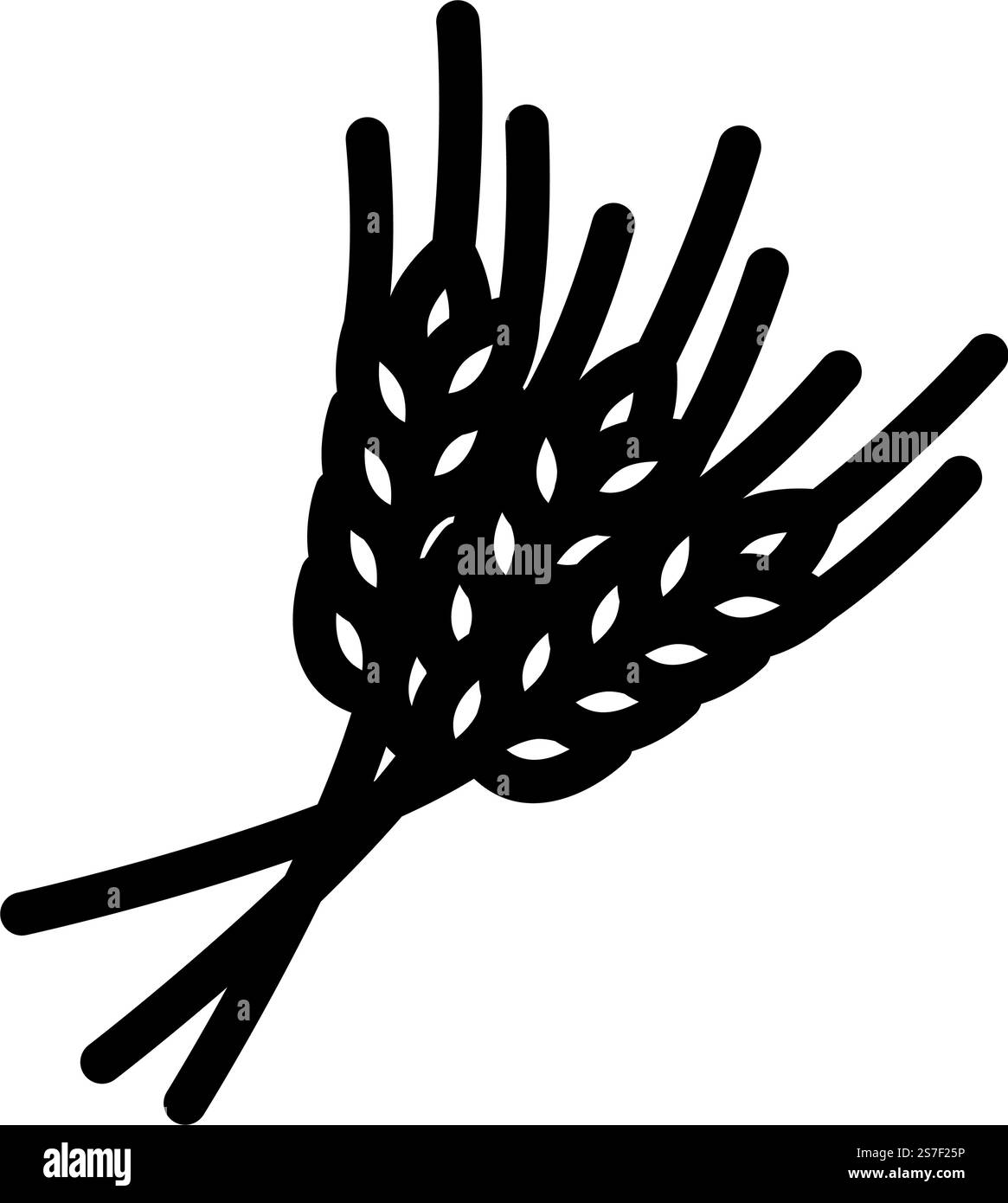 épis de vecteur d'icône de ligne de récolte de blé. épis de signe de récolte de blé. illustration noire du symbole de contour isolé. illustration vectorielle d'icône de ligne de récolte de blé d'oreilles Illustration de Vecteur