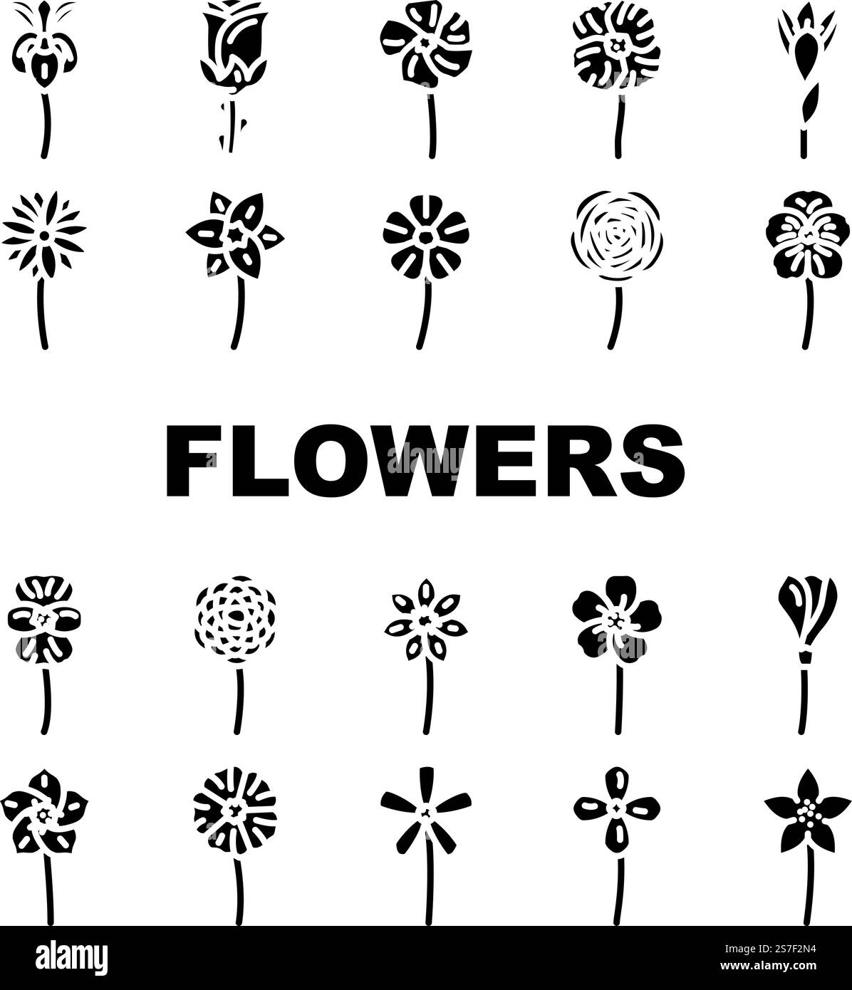 fleur printemps fleuri fleurs fleurs ensemble icônes vecteur. feuille de nature, jardin été, plante design, pétale abstrait, tulipe, forme décoration fleur printemps fleurs florales pictogramme de glyphe illustrations. fleur printemps fleuri fleurs fleurs ensemble icônes vecteur Illustration de Vecteur