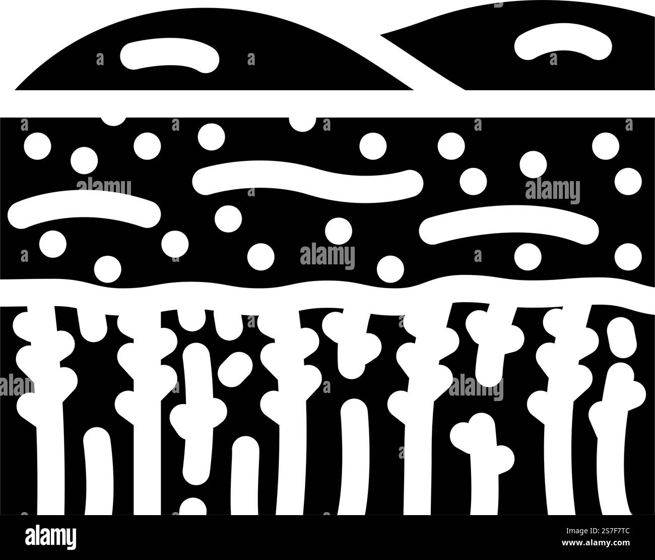 vecteur d'icône de glyphe de blé mûr jaune de champ. panneau jaune champ pour blé mûr. illustration de symbole isolé. illustration vectorielle d'icône de glyphe de blé mûr jaune de champ Illustration de Vecteur