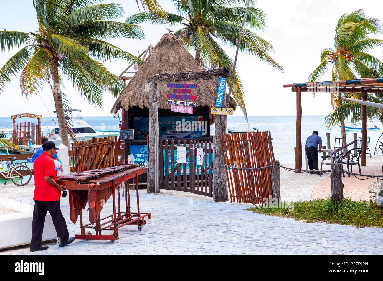 Mexique, Puerto Morelos, front de mer avec palapa et palmiers. Banque D'Images