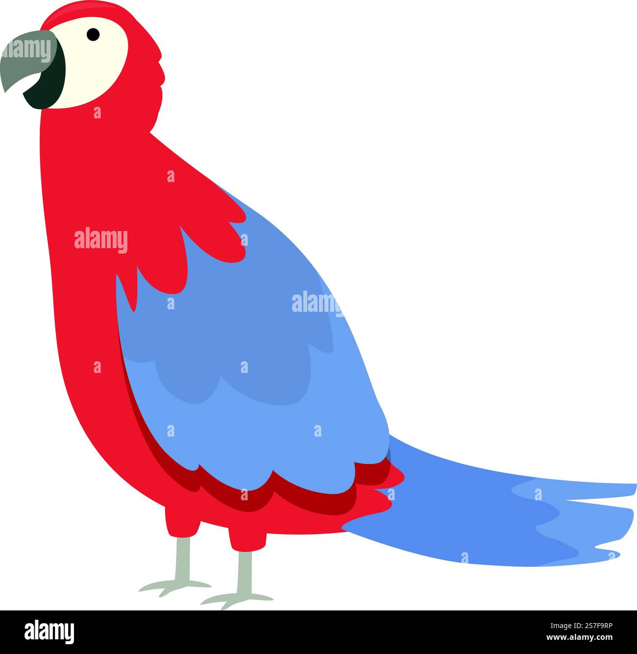 Vecteur de dessin animé d'icône de macaw Zoo. Oiseau de la nature. La faune parle. Vecteur de dessin animé d'icône de macaw Zoo. Oiseau de la nature Illustration de Vecteur
