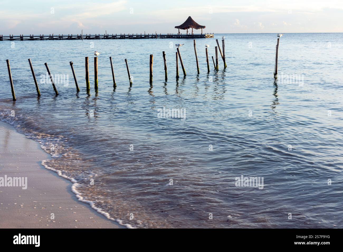 Mexique, Puerto Morelos, Pier avec palapa au lever du soleil sur une plage tranquille. Banque D'Images