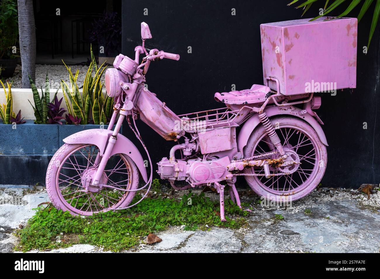 Mexique, Puerto Morelos, cyclomoteur abandonné peint en violet contre un mur noir Banque D'Images