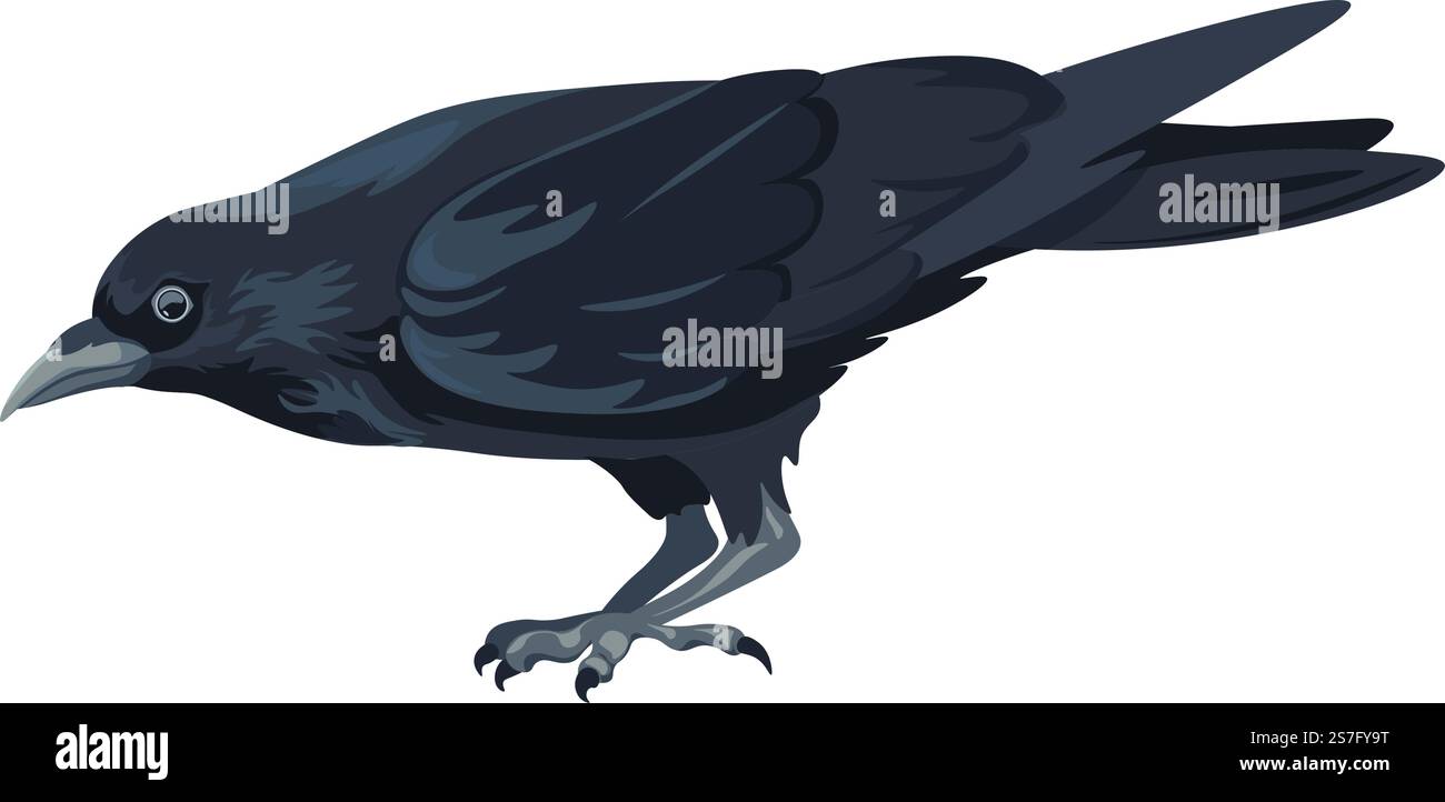 Corbeau ou tour avec des griffes acérées, grand oiseau noir isolé avec plumage et plumes propres. Faune de forêt ou de bois, faune et flore et biodiversité des animaux aviaires, nature corbeau. Vecteur dans le style plat. Grand oiseau noir, corbeau ou corbeau de forêt Illustration de Vecteur