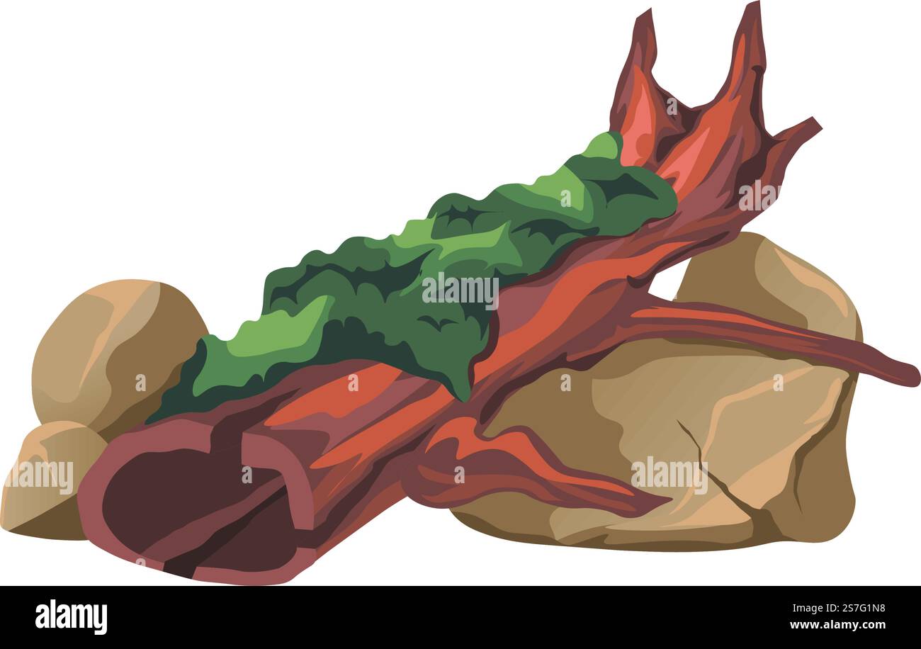 Rochers massifs et pierres et arbre tombé cultivé avec de la mousse. Habitat naturel pour plantes sans fleurs, végétation et botanique de forêt ou de bois. Fleur sur cultivé dans l'espace humide et humide. Vecteur dans le style plat. Mousse poussant sur des rochers massifs et arbre tombé Illustration de Vecteur