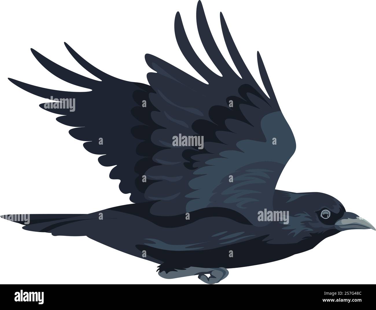 Corbeau ou corbeau en mouvement, grand oiseau noir volant isolé avec ailes déployées. Faune et biodiversité des bois ou de la forêt, animal aviaire avec griffes et longues plumes. Rooks, vecteur dans le style plat. Volant grand oiseau noir, corbeau dans le vecteur de mouvement Illustration de Vecteur