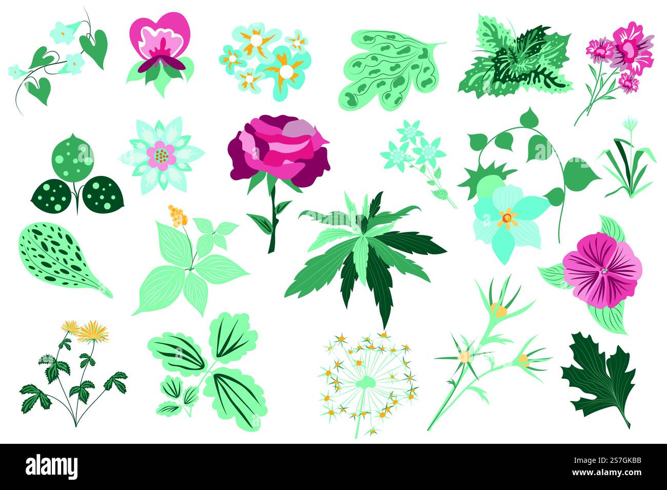 Ensemble isolé de fleurs et de plantes. Rose, feuilles vertes, fleurs sauvages en fleurs, plantes à fleurs. Jardin et feuillage sauvage, décoration botanique. Paquet d'éléments floraux. Illustration vectorielle dans la conception dessinée à la main Illustration de Vecteur