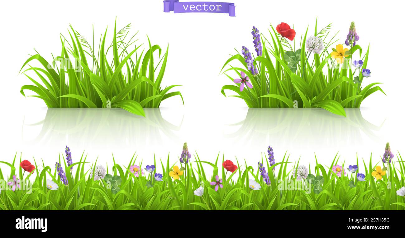 Fleurs sauvages, forb alpages. Spring herbe Seamless modèle 3d vecteur réaliste Illustration de Vecteur