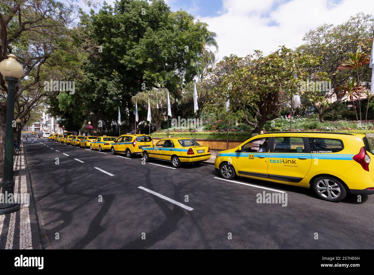 Des taxis jaunes font la queue devant le parc central de la ville – Jardim Municipal do Funchal, dans le centre-ville. Banque D'Images