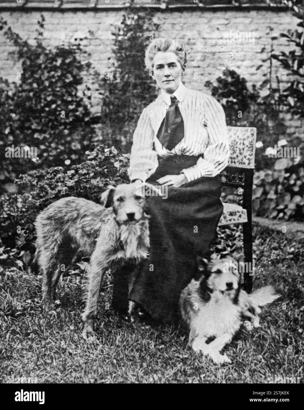 Edith Cavell, Edith Louisa Cavell (1865 – 1915) infirmière britannique exécutée par les Allemands pendant la première Guerre mondiale Banque D'Images Edith Cavell, Edith Louisa Cavell (1865 – 1915) infirmière britannique exécutée par les Allemands pendant la première Guerre mondiale Banque D'Images