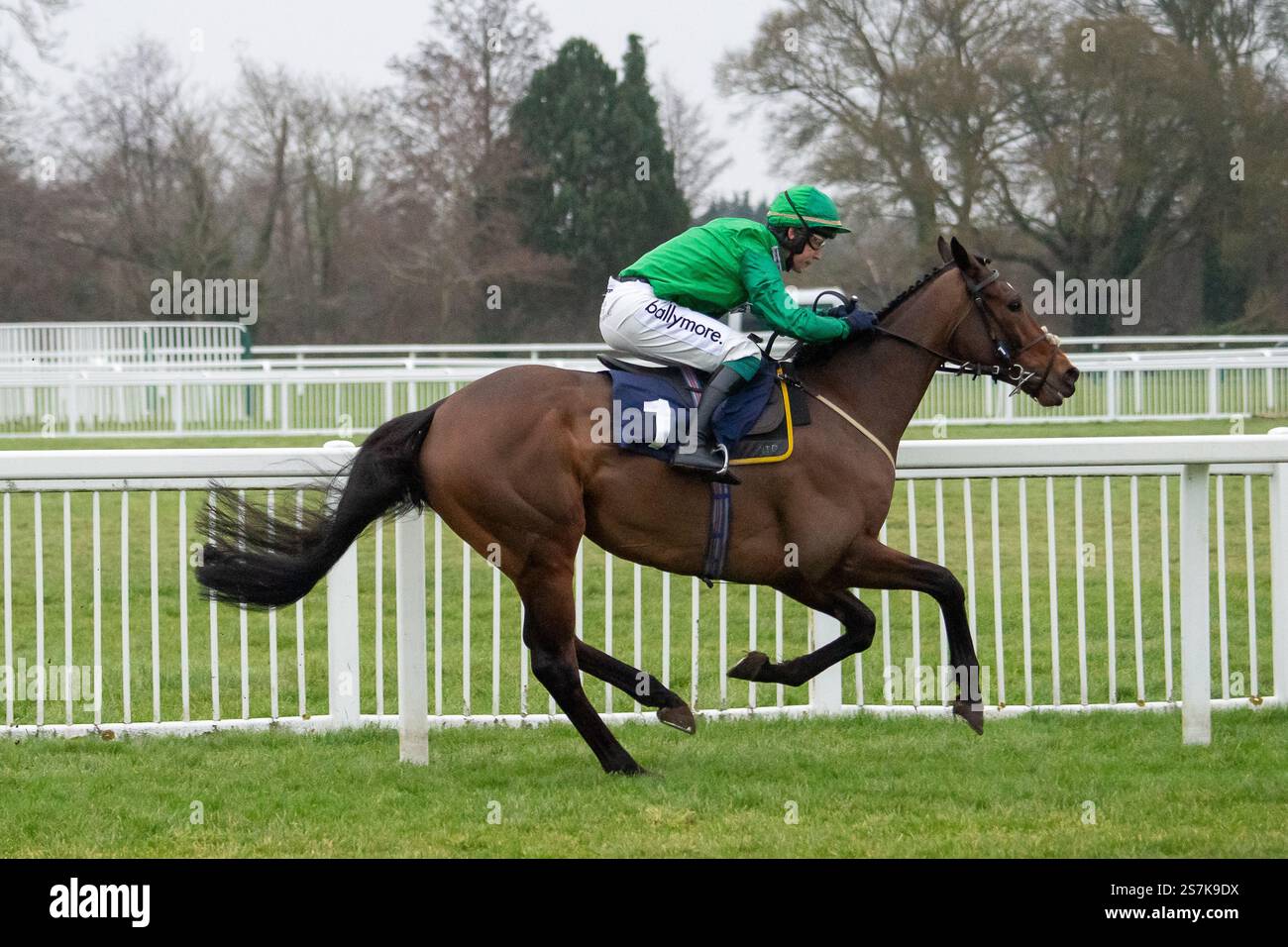 Windsor, Berkshire, Royaume-Uni. 19 janvier 2025. MATATA piloté par le jockey J J Slevin remporte le Fitzdares Great Park handicap Steeple Chase au Royal Windsor Racecourse à Windsor, Berkshire. Propriétaire Mr Simon Munir & Mr Issac Souede, entraîneur Nigel Twiston-Davies, Cheltenham, Sponsor The Sporting Life. Crédit : Maureen McLean/Alamy Live News Banque D'Images